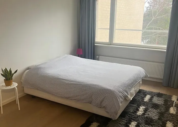 Close To Airport 公寓